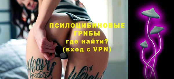 ешки Алексеевка