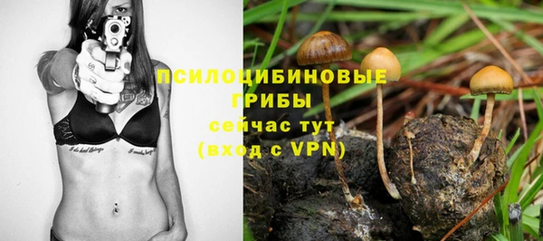 ешки Алексеевка