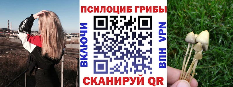 Галлюциногенные грибы Psilocybine cubensis  Гуково 